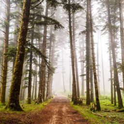 Parco Nazionale delle Serre