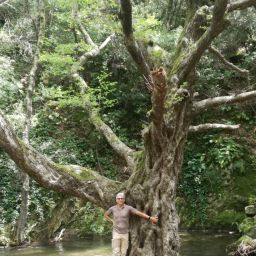 Presentazione del giornale di AntonioPileggi